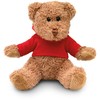 Pliušinis meškiukas "Teddy Bear"