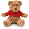 Pliušinis meškiukas "Teddy Bear"