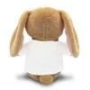Pliušinis zuikutis "Binky - meilė" su Jūsų pasirinktais inicialais (18 cm)