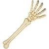 Boland Traciks Skeleto ranka (46cm)