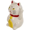 Taupyklė "Angry cat"