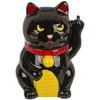 Taupyklė "Angry cat"