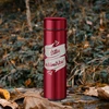 Termosas "Šiltų akimirkų" (425ml)