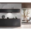 Gartraukis Miele DAS 4630 OBSW