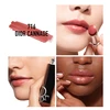 Dior Addict drėkinamieji blizgūs lūpų dažai, 716 Dior Cannage, 3,2 g