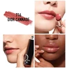 Dior Addict drėkinamieji blizgūs lūpų dažai, 716 Dior Cannage, 3,2 g