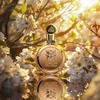 Kvepalai moterims Lattafa Fakhar Lattafa Gold Extrait EDP, 100 ml