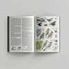 Ornitostogos Knyga Europos paukščių pažinimo vadovas: COLLINS BIRD GUIDE