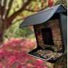 Gamtos kamera NatureSpy WiFi BirdCam Pro