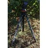 Maskuotės juosta Tragopan 10mx5cm