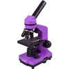 Mikroskopas Levenhuk Rainbow 2L Amethyst 40x - 400x su eksperimento komplektu K50