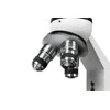 Mikroskopas Opticon Genius