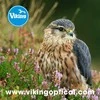 Valiklis Optikos valymo šluostė Viking - startsakalis