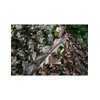 Tragopan Camo maskuojantis tinklas ruduo 3x3 m