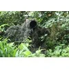 Tragopan Maskuotė tinklas Ghillie Khaki