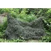 Tragopan Maskuotė tinklas Ghillie Khaki