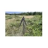 Tragopan Maskuotė trikojui Ghillie