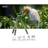SIRUI EXPLORER TRIPOD + GIMBAL HEAD KIT CT-3204+CH20 Žalias