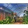 Šiltnamis AGRO TITAN (plotis 3m) danga 6mm, Šiltnamio ilgis: Šiltnamio ilgis 8m