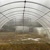 Šiltnamis FERMERIS TITAN (plotis 6m) danga 6mm, Šiltnamio ilgis: Šiltnamio ilgis 20m