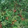 Tinklas nuo paukščių 19mm 3x5 m (7 g/m²)