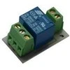 Digitalas RM-24V relė su išėjimo kontaktais COM/NC/NO