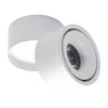 Lubinis baltas LED šviestuvas "OSLO" 15W