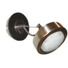 Candel Sieninis šviestuvas 5591-15788