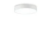 Lubinis šviestuvas Ideal Lux 25W ceiling lamp with 1 light HALO, 4000K, transparent