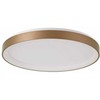 Lubinis šviestuvas Italux 48W LED paviršinis šviestuvas VICO, aukso sp., 3000/4000K, dimeriuojamas