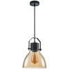 Italux Pakabinamas šviestuvas Darlena PND-22371-1-BK+AMB