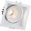 Lubinis šviestuvas FULL Įleidžiamas reguliuojamas LED šviestuvas ANGELO R1032, 10W, 3000K, 60°, garantija 10 metų