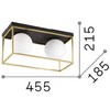 Lubinis šviestuvas Ideal Lux Ceiling lamp with 2 lights LINGOTTO, E14, chrome