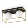 Lubinis šviestuvas Ideal Lux Ceiling lamp with 2 lights LINGOTTO, E14, chrome