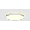 Lubinis šviestuvas Lubinis LED šviestuvas Corona 48W žemyn +15W aukštyn, Baltas