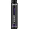 WT METHODE Šampūnas blondinėms (-nams) ir žiliems plaukams Sidabrinis 250 ml.