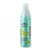 WT METHODE Spalvą sugantis šampūnas dažytiems, šviesintiems, tonuotiems plaukams COLOR REPAIR, 250 ml