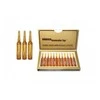 WT METHODE Stipraus poveikio ampulės su placenta PLACEN FORMULA NR.1, 12x10ml