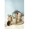 Hermia Puodelių rinkinys (6 vnt.) Shizen Q38 - Powder