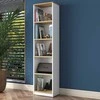 Asir Kalune Design Knygų lentyna HC111 - 2639