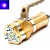 UV žibintas gintarų paieškai " Amber Eye Gold " - 30W