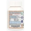 Ayumi Naturals Miškinė pokštenė Gymnema Sylvestrae, ekologiška, Planet Ayurveda, 60 kapsulių