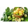Ayumi Naturals Briaunuotoji kambodžinė garcinija Garcinia, ekologiška, Planet Ayurveda, 60 kapsulių