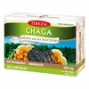 TEREZIA CHAGA IR REISHI GRYBAI SU ŠALTALANKIŲ ALIEJUMI