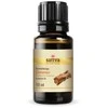 Cinamonų eterinis aliejus, Sattva Ayurveda, 10ml