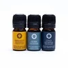 Eterinių aliejų Aromaterapinis rinkinys Wellness, Song of India