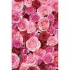 Kūno ir veido odos aliejus Rose Love Beauty Eliksyras, Khadi, 100ml