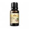 Kvapiojo šalavijo eterinis aliejus, Sattva Ayurveda, 10ml