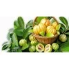 Ayumi Naturals Briaunuotoji kambodžinė garcinija Garcinia, ekologiška, Planet Ayurveda, 60 kapsulių