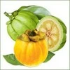 Ayumi Naturals Briaunuotoji kambodžinė garcinija Garcinia, ekologiška, Planet Ayurveda, 60 kapsulių